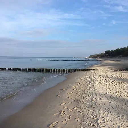 Sielska Zagaje Sarbinowo